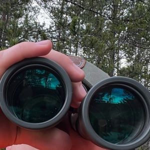 Meet your Posher, Dani